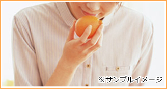 マルチみかんについて