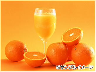 マルチみかんについて